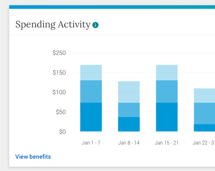 Photo - Spending Activity